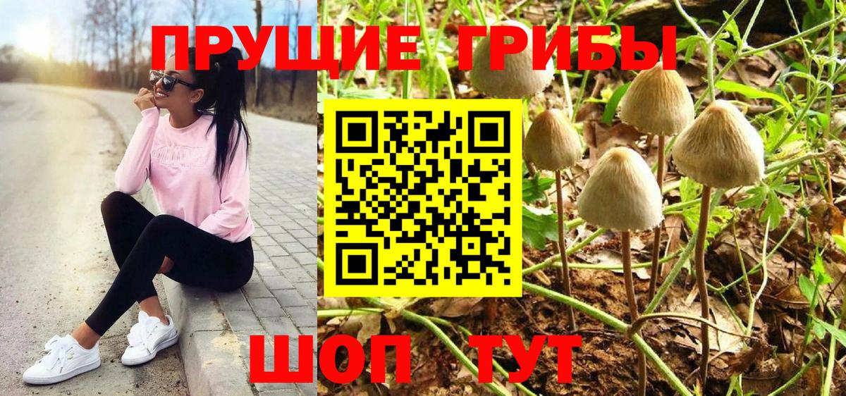 Псилоцибиновые грибы мицелий Барнаул